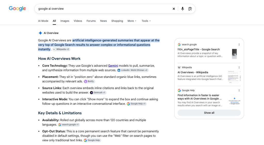 Google AI search overview in search engine